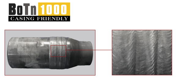 BoTn1000